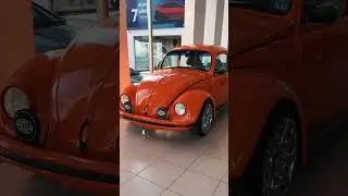 Hermosos vochos #vocheros #vocho #vw #volkswagen #vochomania #fusca #escarabajo #autos #volksvagen