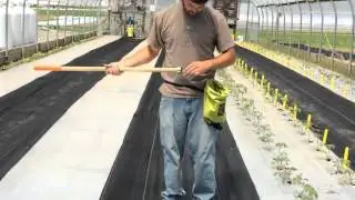 Staple Setter&trade; &mdash; Drives staples into landscape fabric fast & easy