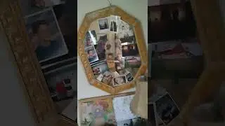 iindustrial FED 4.20.06 Trinity Florida Greencastle 2009 Georgia property MGMT 2014 in 2017 317BMV💎🐌
