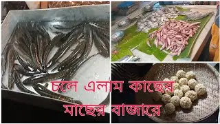 সকাল সকাল চলে এলাম পাশের মাছের বাজারে || মনমুগ্ধকর মুখরোচক মোয়া।। @RamasDailyLife-z5y 