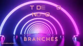 SET ANO NOVO  DJ BRANCHES