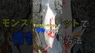 モンスターショットで青物を釣る方法　#モンスターショット #釣り #ショアジギング #fishing #ロックショア #青物 #カンパチ #海釣り #海 #ocean #ルアーフィッシング #ルアー