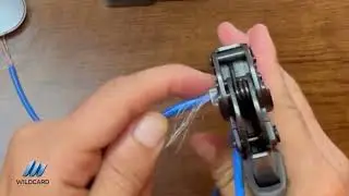 RJ45 Plug Termination & Networking Support