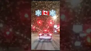 Driving in Montreal ❄️ 🇨🇦 ❄️#snow #winter #automobile #snowfall #canada #wintervibes #shortvideo