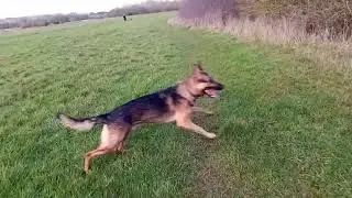 He loves this park 