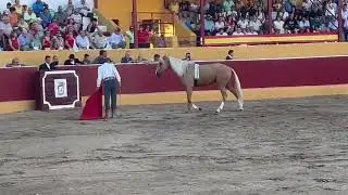 Javier Garc&iacute;a con su caballo Luca en la plaza de toros de El Provencio