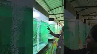 PONDICHERRY/ KARUDA PARK /FISH PARK  🐠🐟