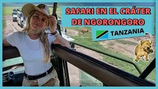 El Cráter de Ngorongoro 🦏 SAFARI en TANZANIA en busca del RINOCERONTE negro