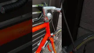 3Rensho katana       SUNTOUR SUPERBE PRO  8s  560mm