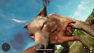 Far Cry 6 Durable Seals | Far Cry 6 Durable Seals Locations | Far Cry 6 Unlimited Durable Seals