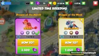 Slam Dunk Dragon Breeding Guide