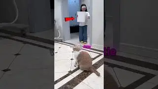 Слепая девочка создала шедевр с помощью своей кошки 🐱🎨
