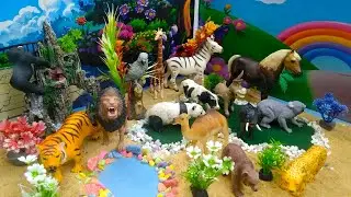 Wild animals for kids | Learning Wild Animal Names and facts for Children | animals toys |
