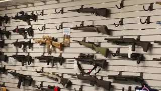 Local legislator proposes bill in support of Second Amendment sanctuaries