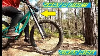 Specialized Demo, What a bike it is!!!