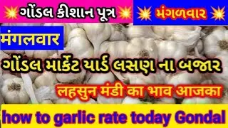 ગોંડલ લસણ માર્કેટ આજની!gondal garlic market today!gondal market yard na bhav 27/01/2026