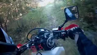 DRV_002 : Exploring Pisgah Mountains