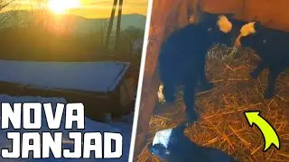 SNIJEG NAPADAO PREKO POLA METRA, PUNO NOVIH JANJADI!