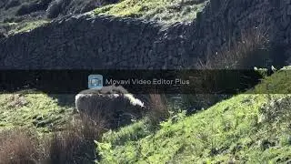 Discover Uk Kinder Reservoir