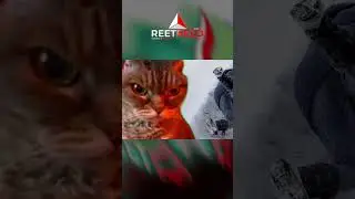 У вас в теле есть аварийный тормоз и кнопка амортизации. Это суставы.