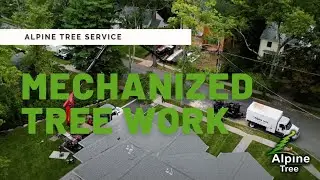 Mechanized Tree Work - Alpine Tree Service, Morristown NJ