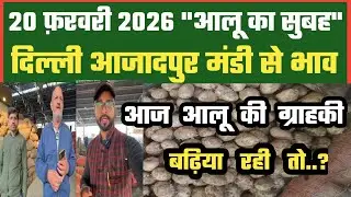 आज ग्राहकी से हैं उम्मीदें ? 🤔 Azadpur Delhi Mandi Today में 20-02-2026 के Potato Price DMT TV