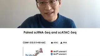 Developmental trajectory of pre-hematopoietic stem cell... - Qin Zhu - RSG - RECOMB/RSG DREAM 2020