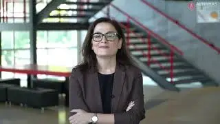 Bachelor of Arts in Political Science and Public Administration, Altınbaş University