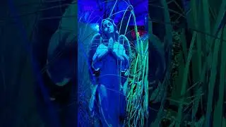 Halloween Horror Nights 2022 Cemetery Display Surprise inside Tribute Store #shorts #subscribe