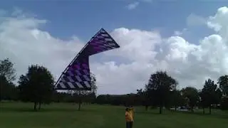 Purple Fade