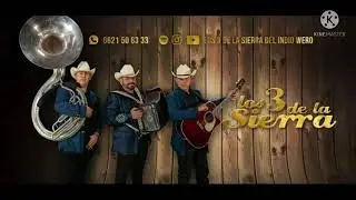 Corrido de la mamiringa cuadra Mendoza\pradera. Composici&oacute;n de Fernando Villarreal Jim&eacute;nez.