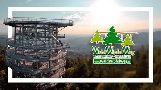 Der Waldturm am WaldWipfelWeg | Trailer