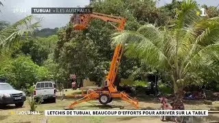 Les litchis de Tubuai, beaucoup d'efforts pour arriver sur la table