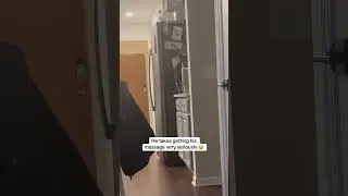 Milo has a new demand every week 😂