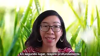 Daily Pause #9 video with Spanish subtitles