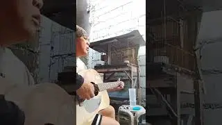 Desperado / cover by alejandro conrado #acousticcover 