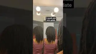 3 month mini braids/twists update🌻