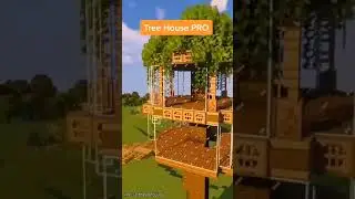 Tree house##pro#video