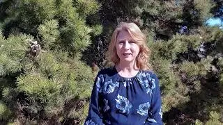 April Update 2021 - Dr. Anne Anderson School