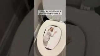 Putting my wife in the toilet