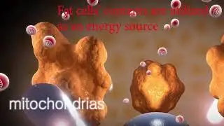 NEW FINAL HEALTH GENIUS Promo