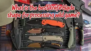 The Best Blade Shape For Field Dressing Game REVEALED!