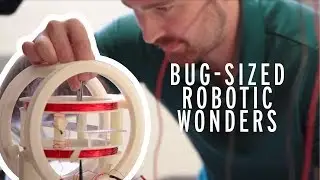 Bug-sized robotic wonders