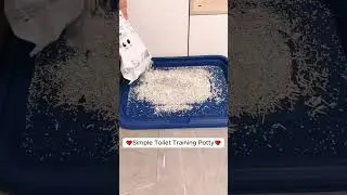 🐕💩The Poop-ernatural Guide to Dog Potty Training!#dog #short #dropshipping #shopify #ecommerce