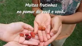 1°jan2026 com essa SURPRESA! #nature #naturezasurpreendente #birds #viral #paisagemnatural #video 