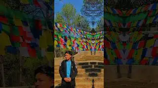 kaha paryo Ghar tamang selo song 2024 #shorts #tamang #nepalisong #musicnepal #selosong