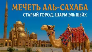 СТАРЫЙ ГОРОД | Шарм-эль-шейх. Египет. Мечеть аль-Сахаба. Рыбный рынок/ Mosque al Sahaba. Fish market