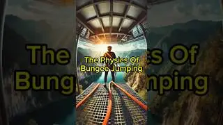 The Physics of Bungee Jumping: How Does the Cord Work?