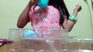 El micromerito