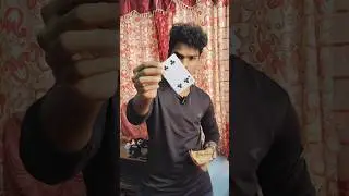 Amazing Card's Closeup Magic #magic #magician #shorts #youtubeshorts